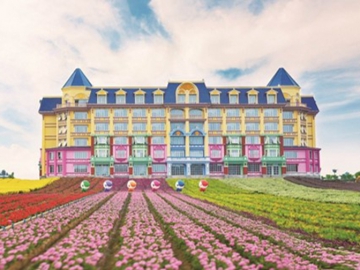 7-南沙百万葵园